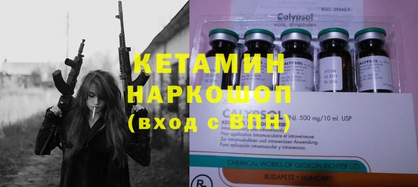 крисы Снежногорск