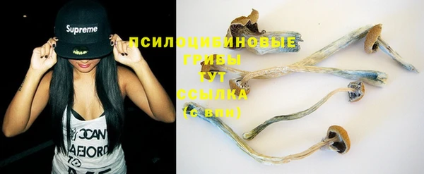 дмт Баксан