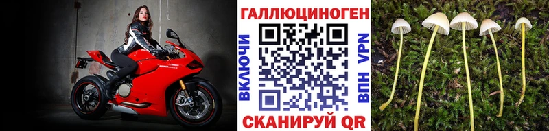Псилоцибиновые грибы мицелий  Любань 